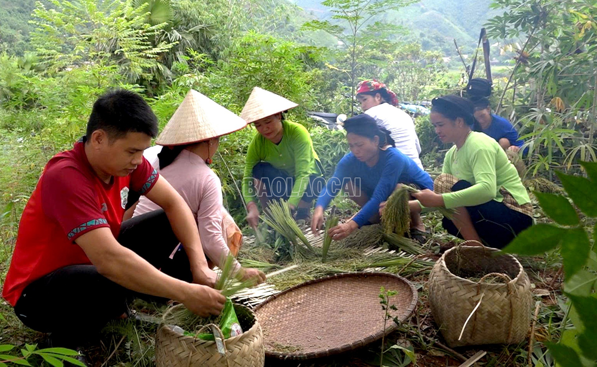 Lễ hội Cốm xã Nghĩa Đô năm 2025