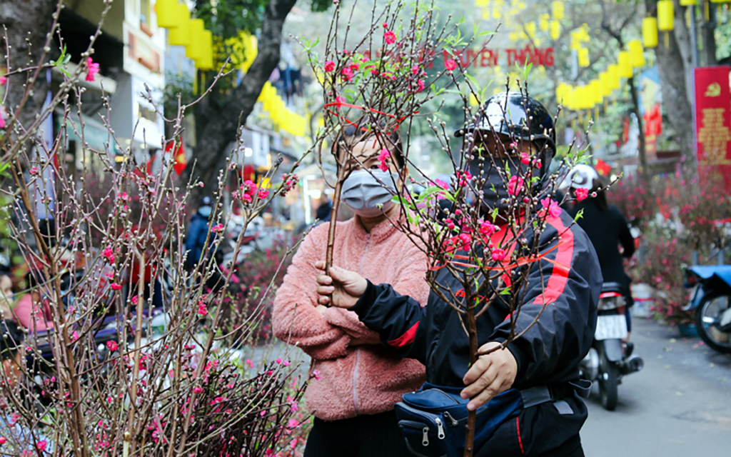 Chợ hoa xuân phục vụ Tết Nguyên đán Bính Ngọ năm 2026