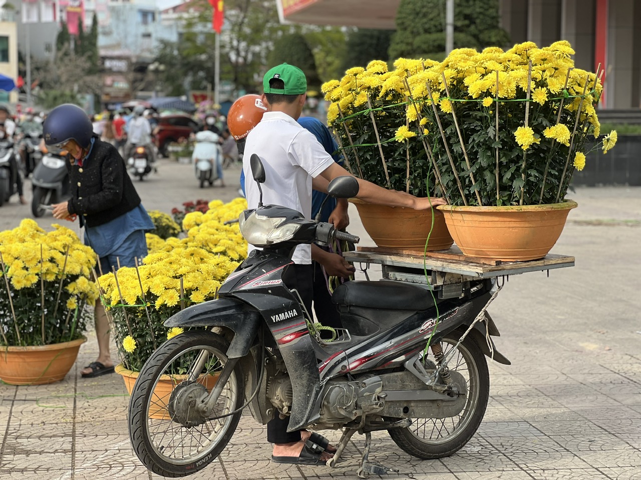 Chợ hoa Tết tại TP.Huế