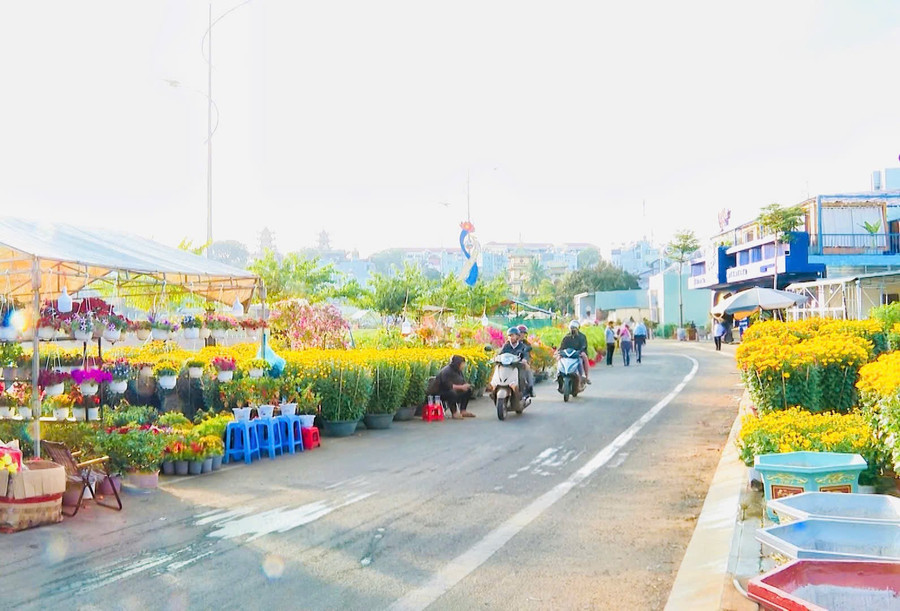 Chợ hoa Tết Bính Ngọ 2026