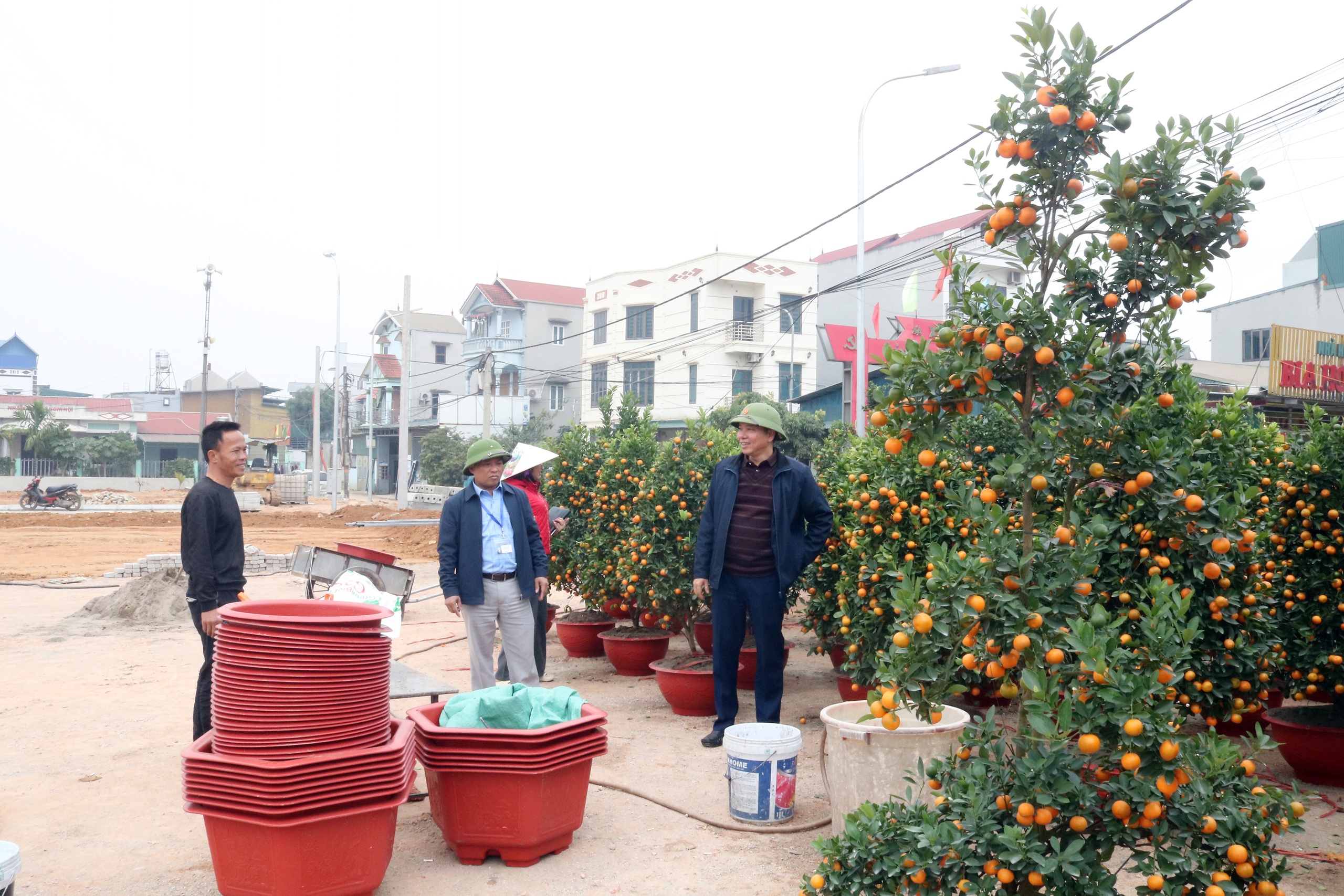 Chợ hoa xuân Bính Ngọ 2026