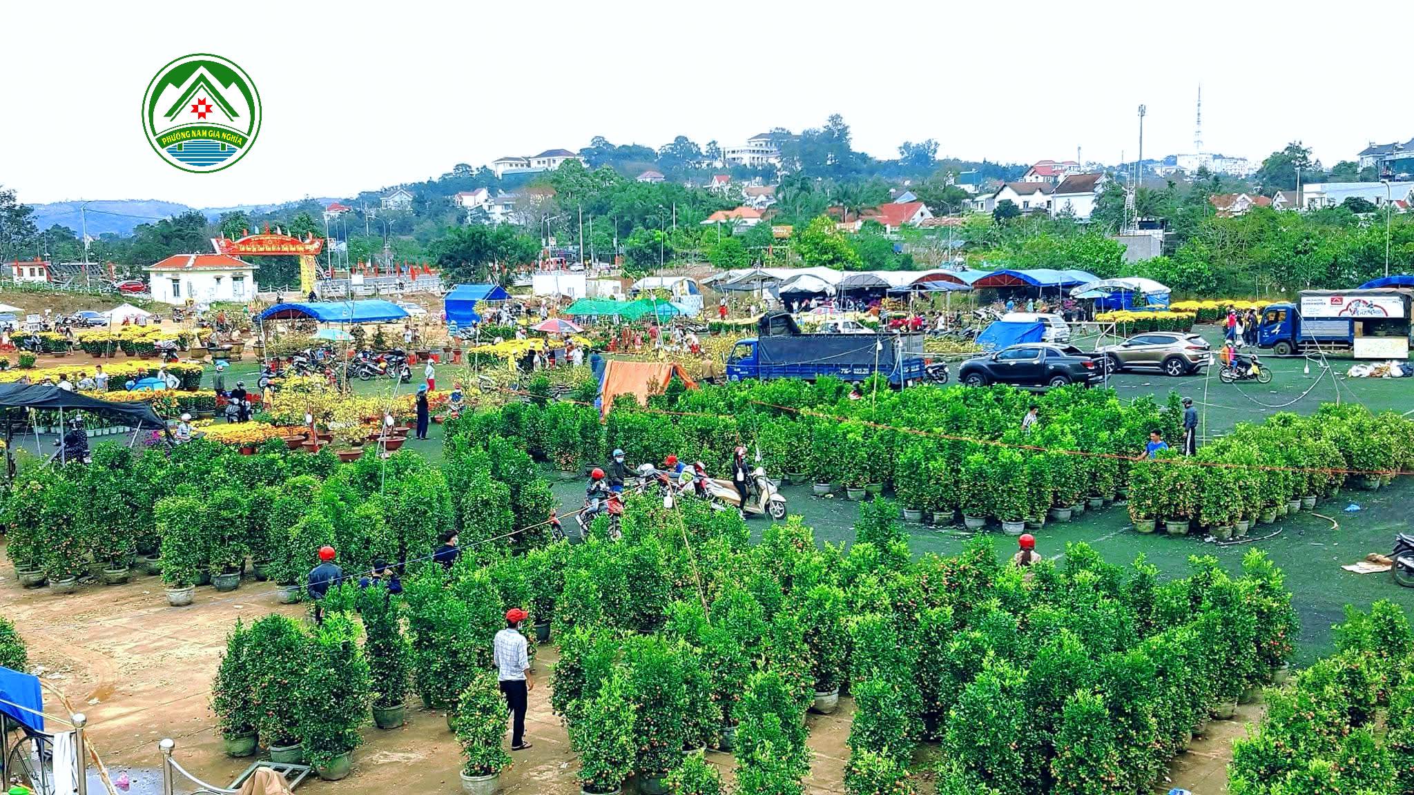 Chợ hoa xuân và mua sắm Tết “Lâm Đồng đại ngàn” 2026