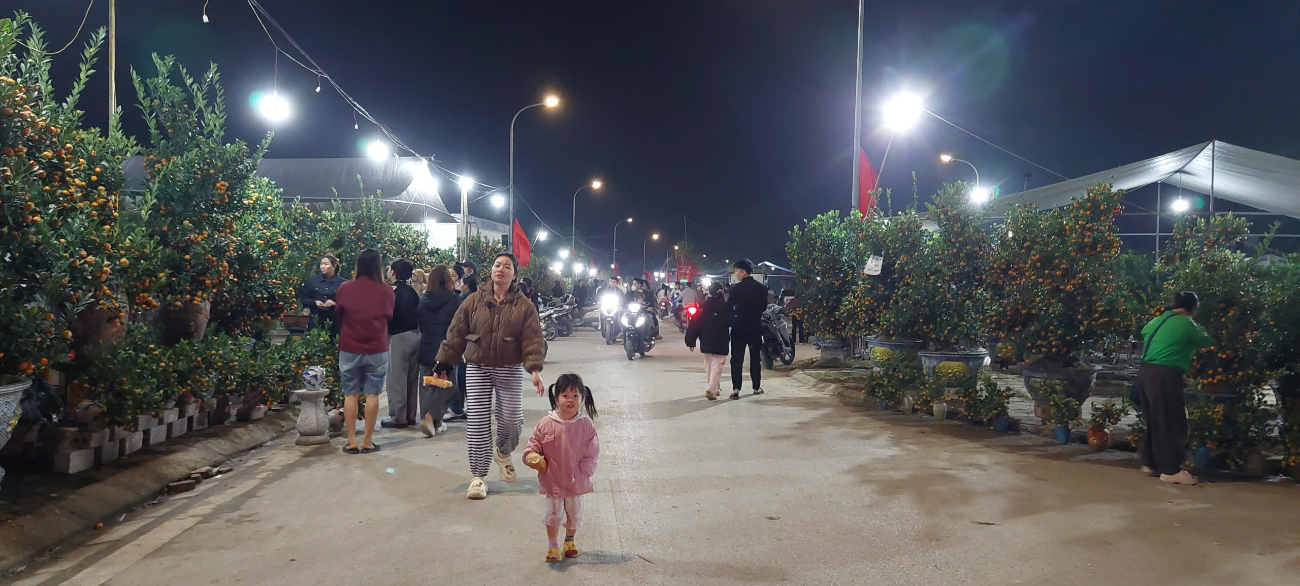 Chợ hoa Xuân xã Phú Nghĩa