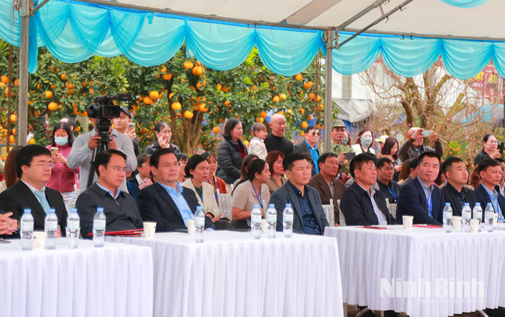 Chợ hoa Xuân Hoa Lư năm Bính Ngọ 2026