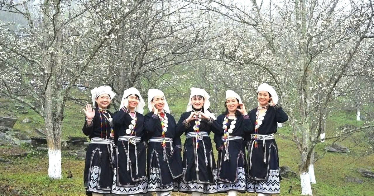 Lễ hội hoa lê Hồng Thái 2026