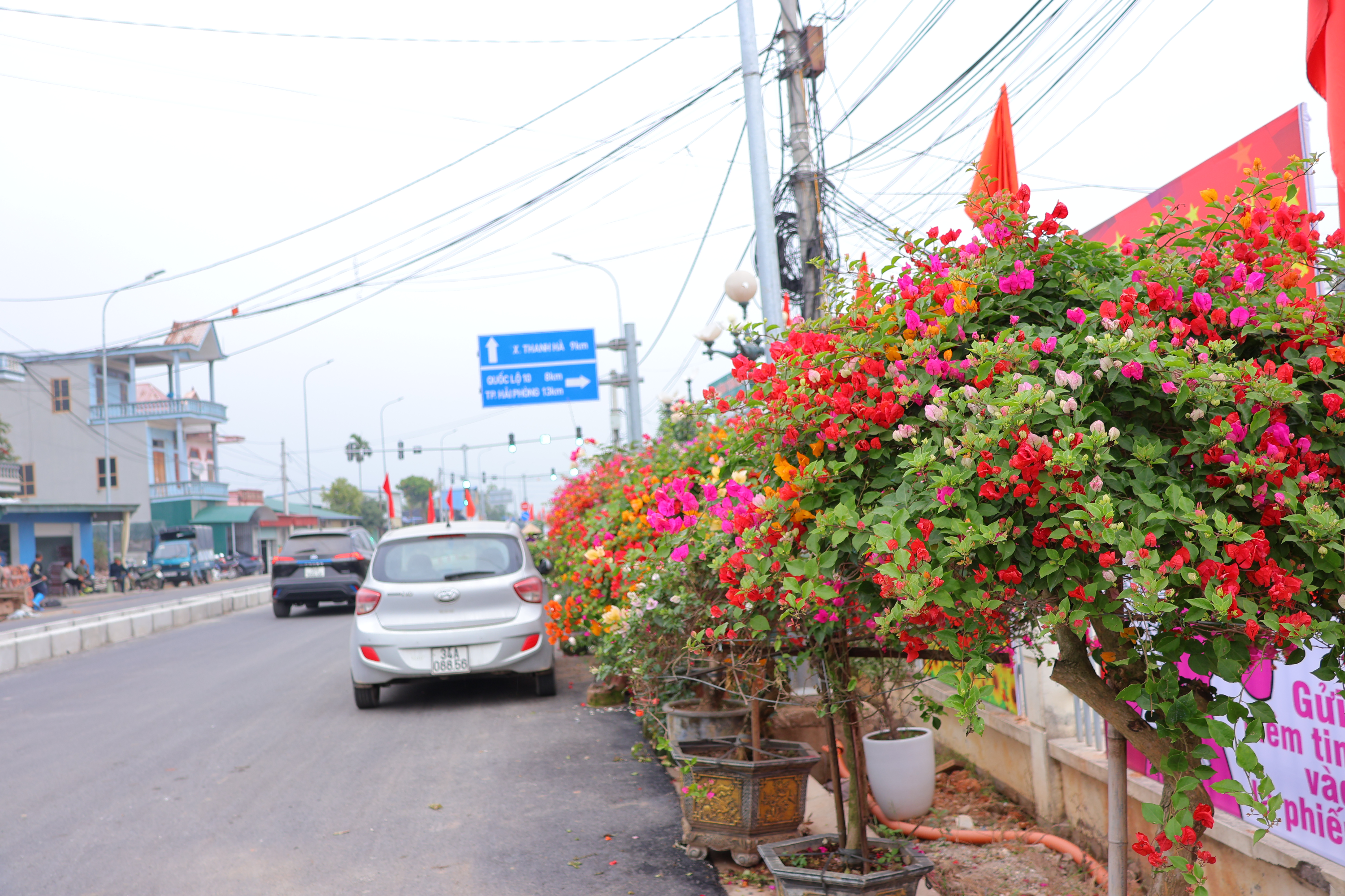 Hội Hoa Xuân xã Hà Đông năm 2026
