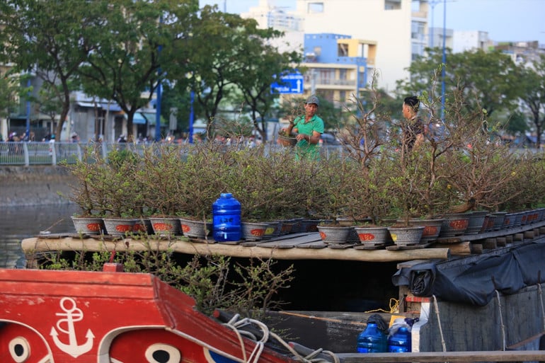 Chợ hoa Tết Bình Đông - Xuân Bính Ngọ 2026