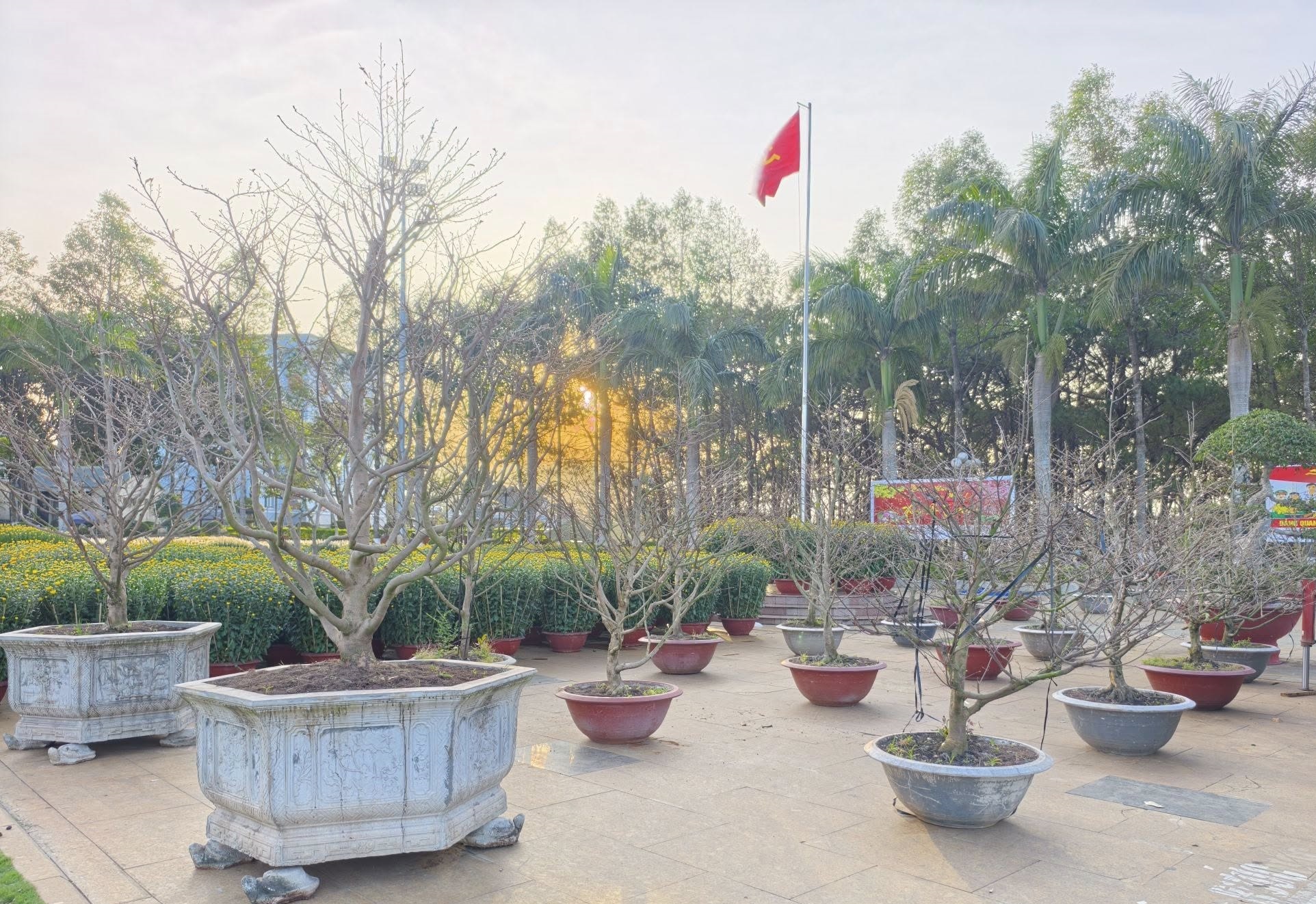 Chợ Hoa Tết Nguyên đán Bính Ngọ năm 2026