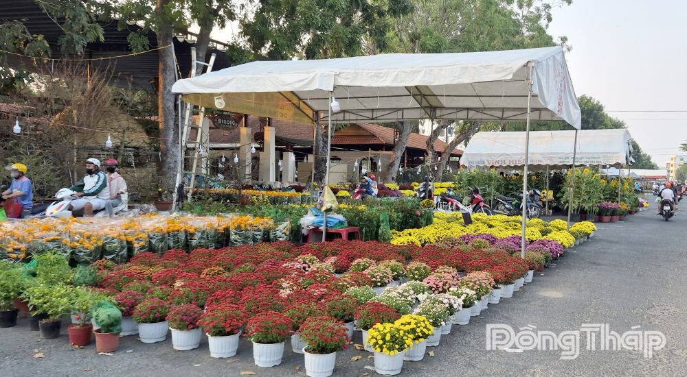 Chợ hoa, kiểng xuân Bính Ngọ 2026
