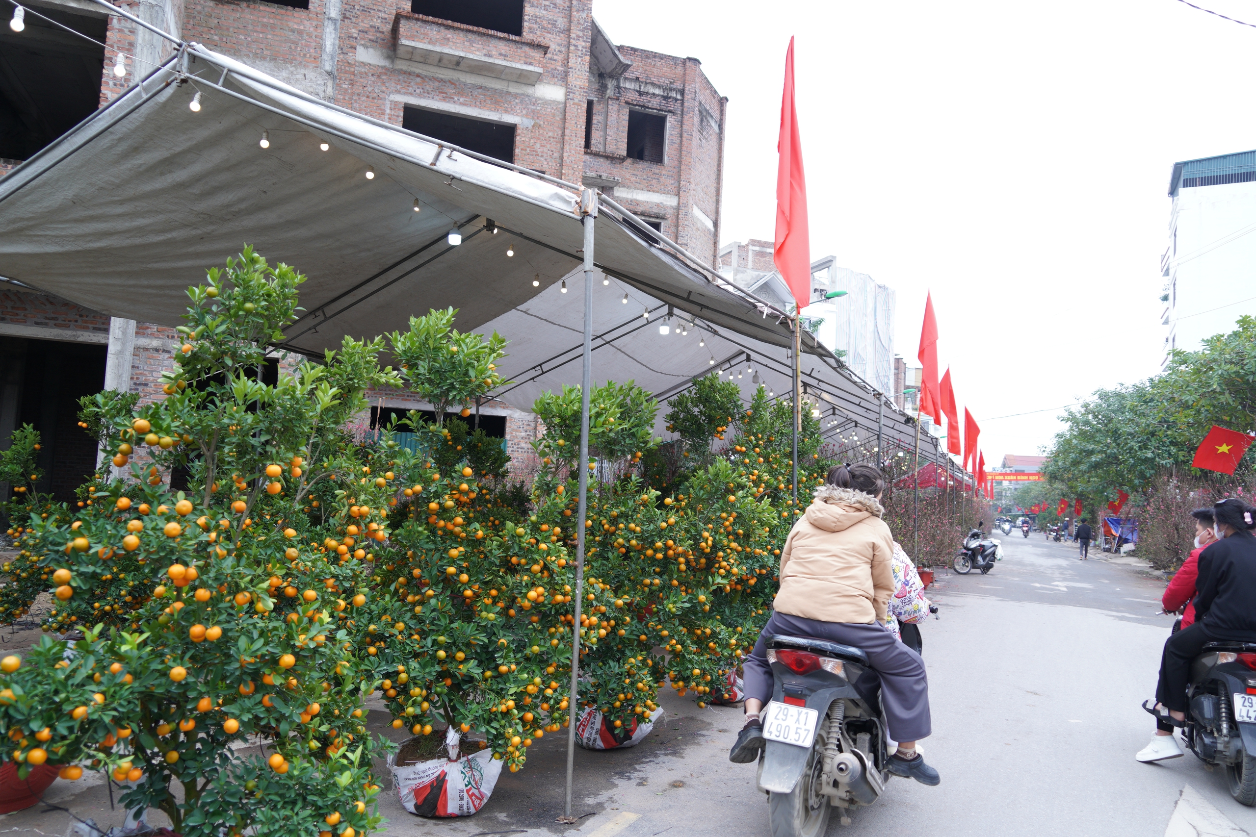 Chợ hoa Xuân phường Chương Mỹ