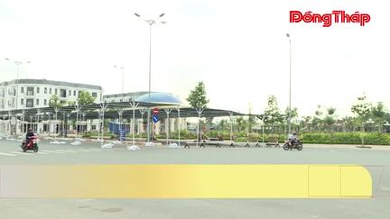 Chợ hoa Xuân Bình Ngọ 2026