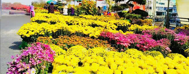 Hội chợ hoa Xuân Bính Ngọ năm 2026