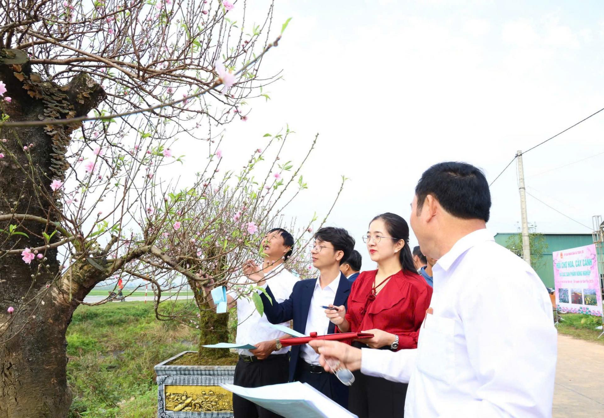 Hội chợ hoa, cây cảnh xã Toàn Lưu năm 2026