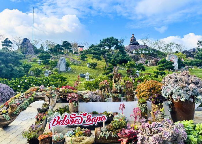 Lễ hội Hoa Sen Đá Fansipan 2025