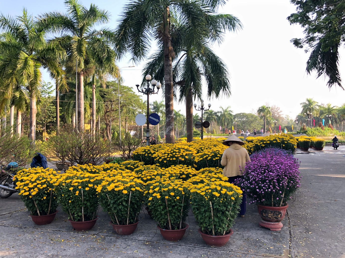 Chợ hoa Xuân Bính Ngọ 2026