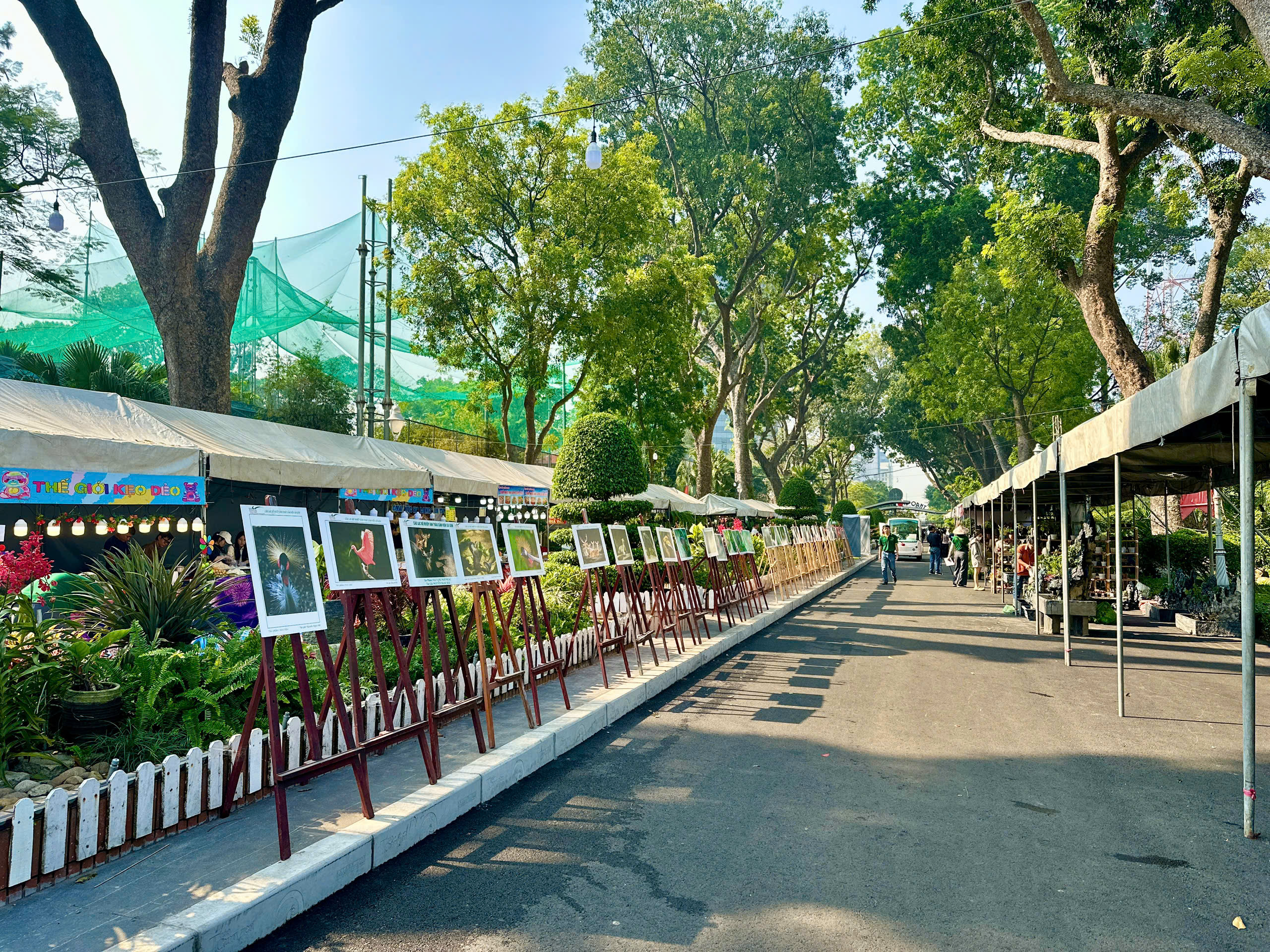 Triển lãm Kiểng lá 2026