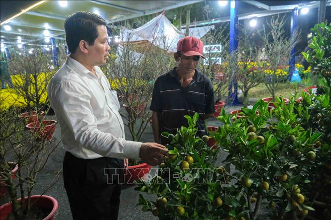 Chợ hoa Xuân Bính Ngọ năm 2026